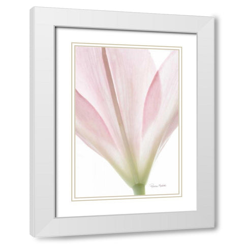Transparent Lily I White Modern Wood Framed Art Print with Double Matting by Murdock, Ramona