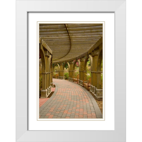 Curves White Modern Wood Framed Art Print with Double Matting by Murdock, Ramona