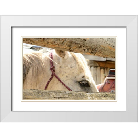 Corralled White Modern Wood Framed Art Print with Double Matting by Murdock, Ramona
