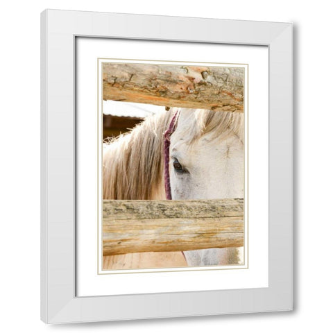 Peek White Modern Wood Framed Art Print with Double Matting by Murdock, Ramona