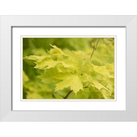 Spring Leaves I White Modern Wood Framed Art Print with Double Matting by Murdock, Ramona