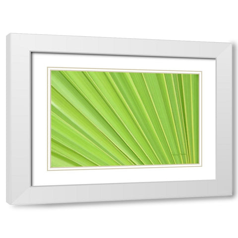 Perfect White Modern Wood Framed Art Print with Double Matting by Murdock, Ramona