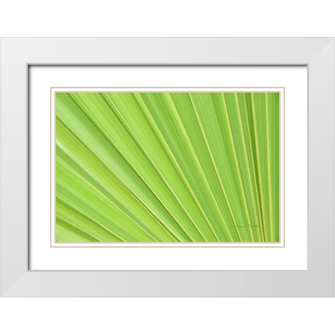 Perfect White Modern Wood Framed Art Print with Double Matting by Murdock, Ramona