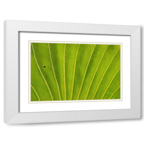Almost Perfect White Modern Wood Framed Art Print with Double Matting by Murdock, Ramona