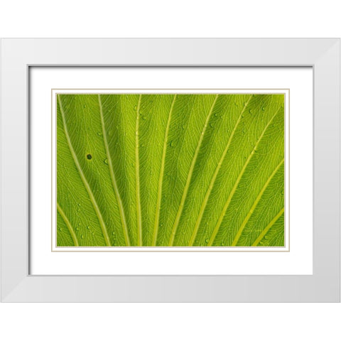 Almost Perfect White Modern Wood Framed Art Print with Double Matting by Murdock, Ramona