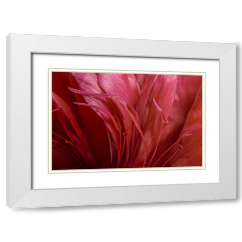 Peonia Insight II White Modern Wood Framed Art Print with Double Matting by Murdock, Ramona