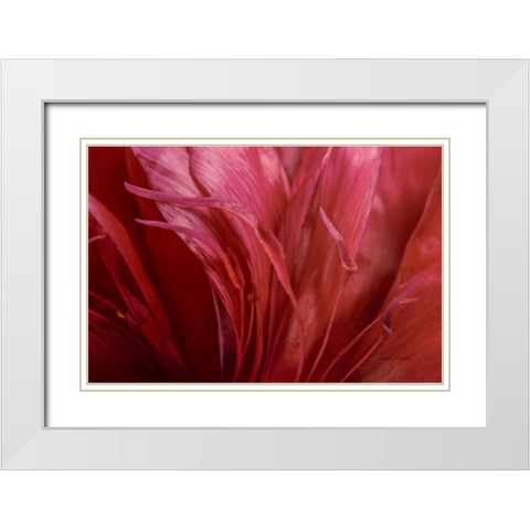 Peonia Insight II White Modern Wood Framed Art Print with Double Matting by Murdock, Ramona