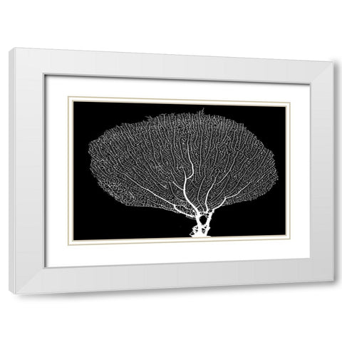 Fan Coral Drama White Modern Wood Framed Art Print with Double Matting by Murdock, Ramona