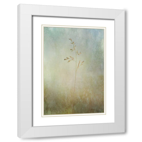 Marsh Grass White Modern Wood Framed Art Print with Double Matting by Murdock, Ramona
