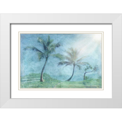 Paradise Found White Modern Wood Framed Art Print with Double Matting by Murdock, Ramona