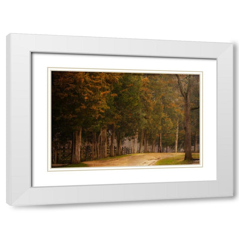 A Road Less Traveled White Modern Wood Framed Art Print with Double Matting by Murdock, Ramona