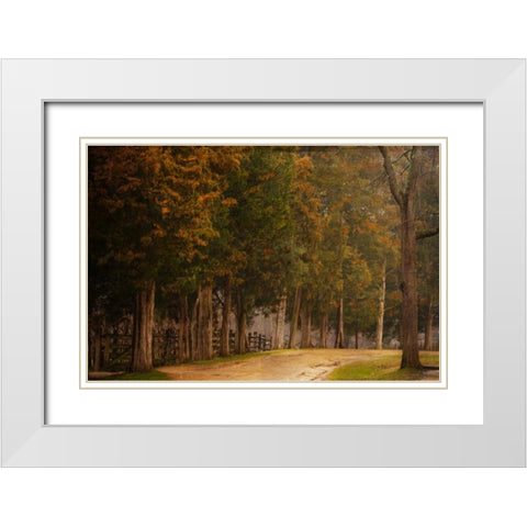 A Road Less Traveled White Modern Wood Framed Art Print with Double Matting by Murdock, Ramona