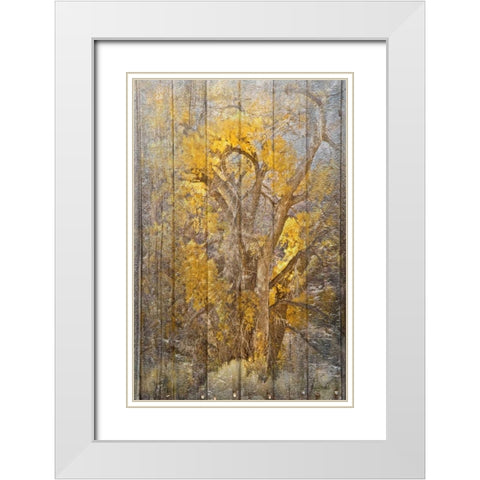 Autumn Tree White Modern Wood Framed Art Print with Double Matting by Murdock, Ramona