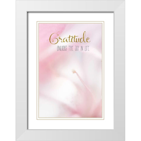 Gratitude Unlocks the Joy White Modern Wood Framed Art Print with Double Matting by Murdock, Ramona
