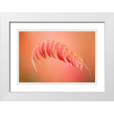 Sumac Branch White Modern Wood Framed Art Print with Double Matting by Murdock, Ramona