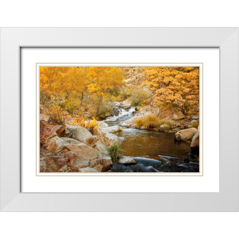 Fall Creek White Modern Wood Framed Art Print with Double Matting by Murdock, Ramona