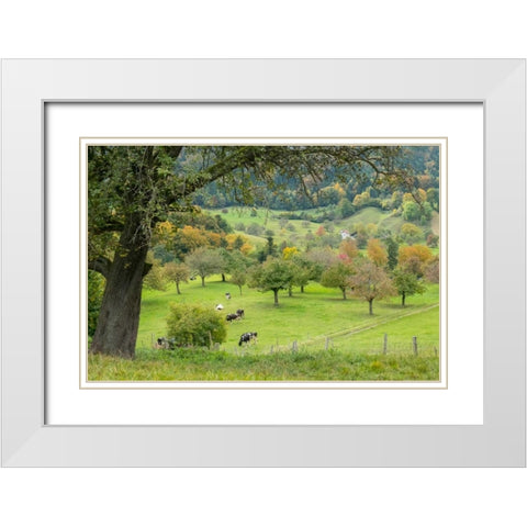 Peaceful Pasture White Modern Wood Framed Art Print with Double Matting by Murdock, Ramona