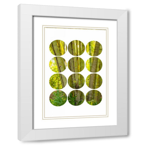 Bamboo Trees White Modern Wood Framed Art Print with Double Matting by Murdock, Ramona