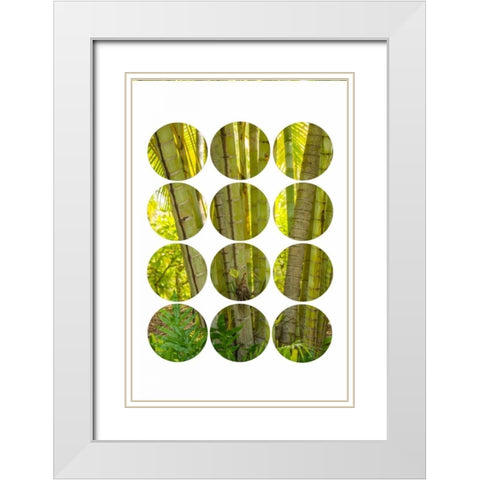 Bamboo Trees White Modern Wood Framed Art Print with Double Matting by Murdock, Ramona