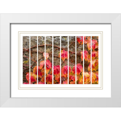 Fall Leaves White Modern Wood Framed Art Print with Double Matting by Murdock, Ramona