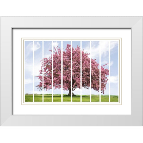 Spring Blossoms White Modern Wood Framed Art Print with Double Matting by Murdock, Ramona