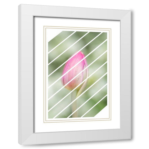 Spring Tulip White Modern Wood Framed Art Print with Double Matting by Murdock, Ramona