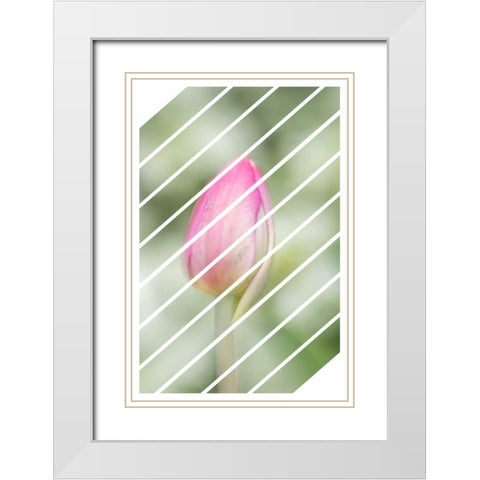 Spring Tulip White Modern Wood Framed Art Print with Double Matting by Murdock, Ramona