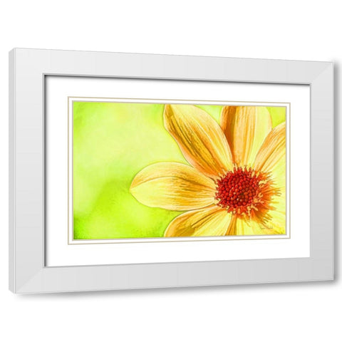 Daisy Glow White Modern Wood Framed Art Print with Double Matting by Murdock, Ramona