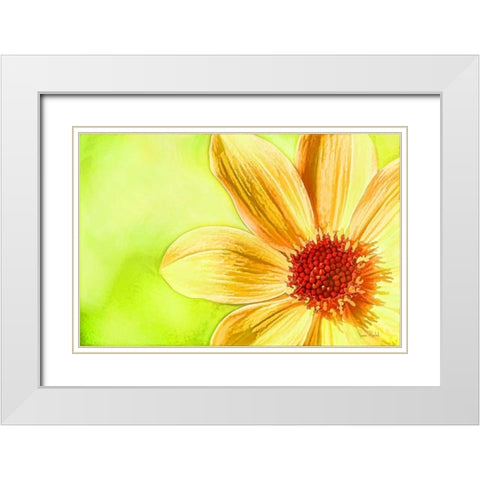 Daisy Glow White Modern Wood Framed Art Print with Double Matting by Murdock, Ramona