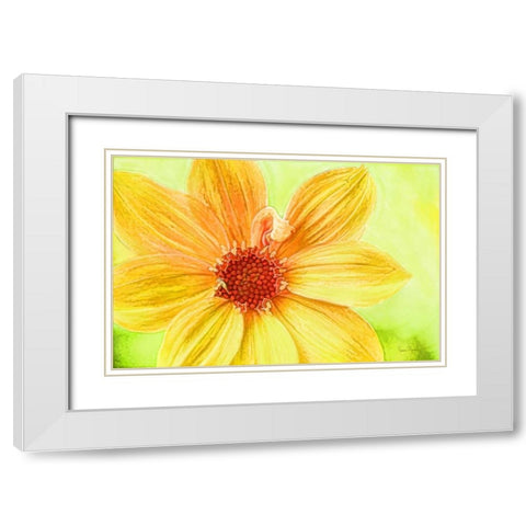 Daisy Love White Modern Wood Framed Art Print with Double Matting by Murdock, Ramona