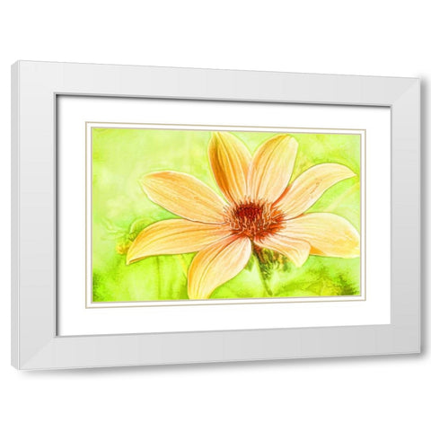 Daisy Sunshine White Modern Wood Framed Art Print with Double Matting by Murdock, Ramona