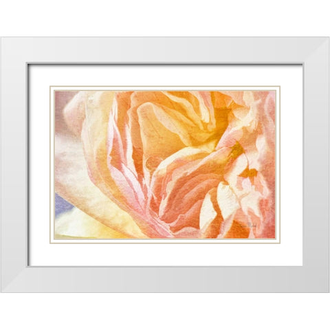 Dew Drop In White Modern Wood Framed Art Print with Double Matting by Murdock, Ramona