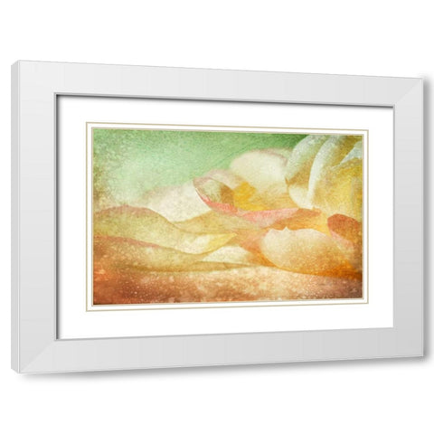 Petals Galore White Modern Wood Framed Art Print with Double Matting by Murdock, Ramona