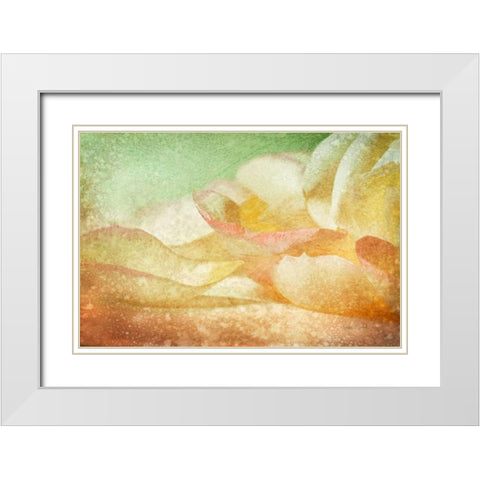 Petals Galore White Modern Wood Framed Art Print with Double Matting by Murdock, Ramona