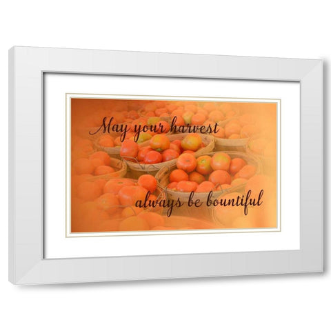 Harvest Wish White Modern Wood Framed Art Print with Double Matting by Murdock, Ramona