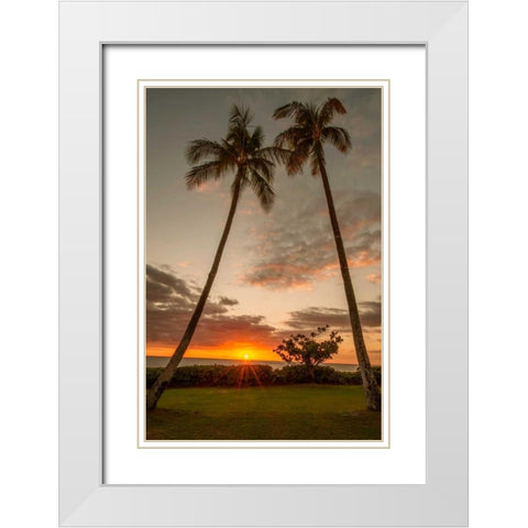Sunset Palms II White Modern Wood Framed Art Print with Double Matting by Murdock, Ramona