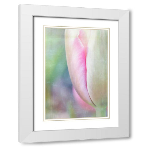 Spring Beauty II White Modern Wood Framed Art Print with Double Matting by Murdock, Ramona