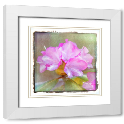 Full Blossom White Modern Wood Framed Art Print with Double Matting by Murdock, Ramona