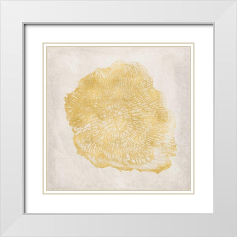 Tree Stump Golden III White Modern Wood Framed Art Print with Double Matting by Murdock, Ramona