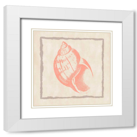 Shell IV White Modern Wood Framed Art Print with Double Matting by Murdock, Ramona