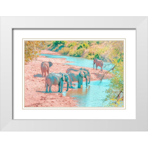 Waterhole Rendezvous II White Modern Wood Framed Art Print with Double Matting by Murdock, Ramona