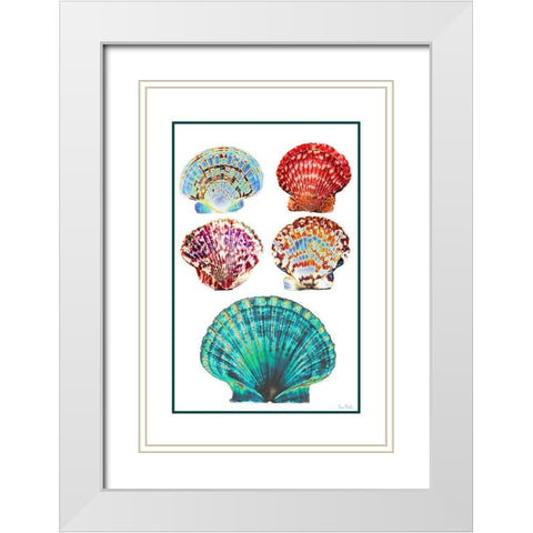 Seashell Collection I White Modern Wood Framed Art Print with Double Matting by Murdock, Ramona