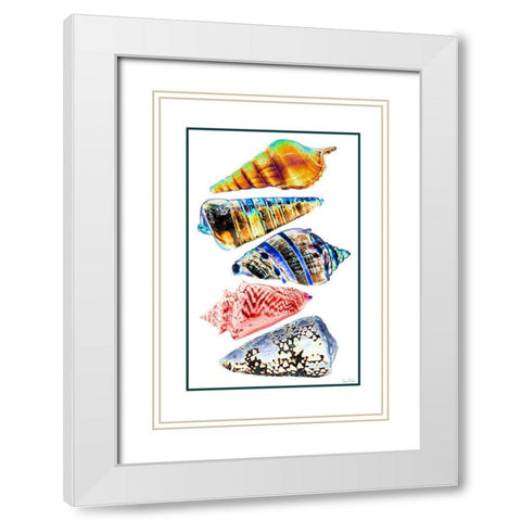 Seashell Collection II White Modern Wood Framed Art Print with Double Matting by Murdock, Ramona