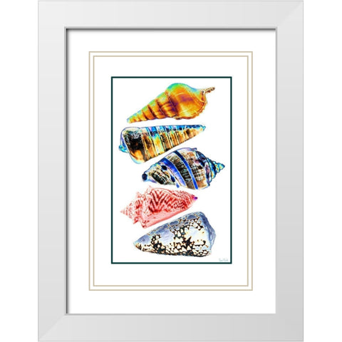 Seashell Collection II White Modern Wood Framed Art Print with Double Matting by Murdock, Ramona