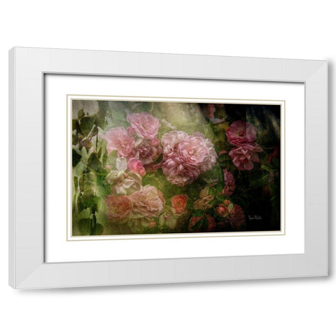 Evening Light on Roses I White Modern Wood Framed Art Print with Double Matting by Murdock, Ramona