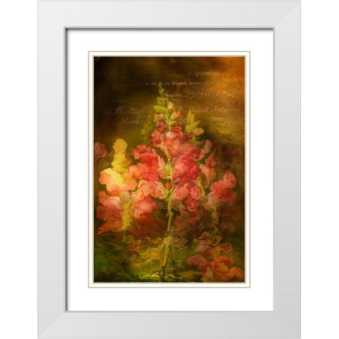 Snapdragon Twilight I White Modern Wood Framed Art Print with Double Matting by Murdock, Ramona