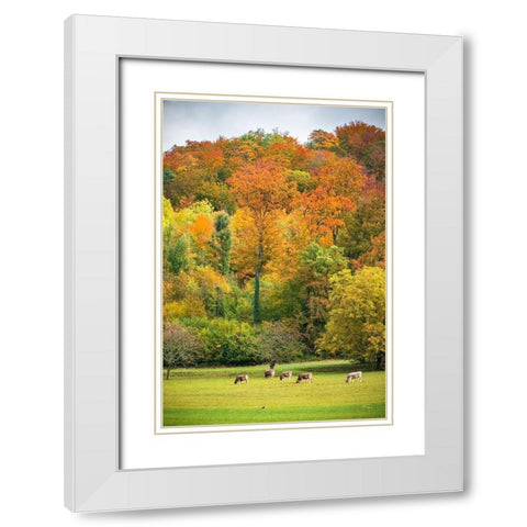 Peaceful Pasture White Modern Wood Framed Art Print with Double Matting by Murdock, Ramona