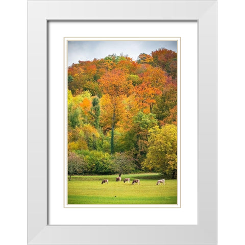 Peaceful Pasture White Modern Wood Framed Art Print with Double Matting by Murdock, Ramona