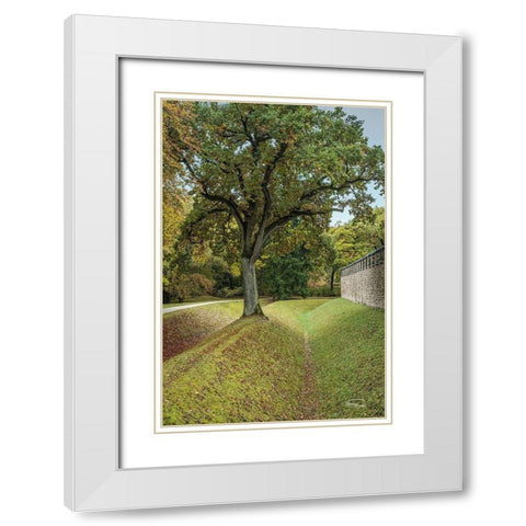 Outside the Wall I White Modern Wood Framed Art Print with Double Matting by Murdock, Ramona