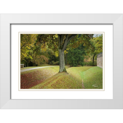 Outside the Wall II White Modern Wood Framed Art Print with Double Matting by Murdock, Ramona